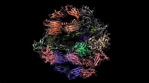 Image result for Complement CAS