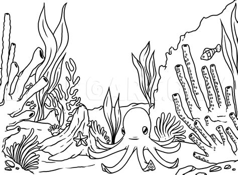 Image result for Draw Coral Reef