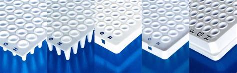 Polymerase chain reaction (PCR)