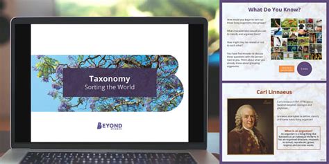 Taxonomy Explained 的图像结果