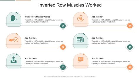 Image result for Inverted Row Muscles