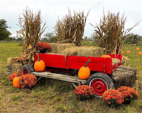 Twin Ponds on the Farm 2024 Fall Season - October, 531 River Road ...