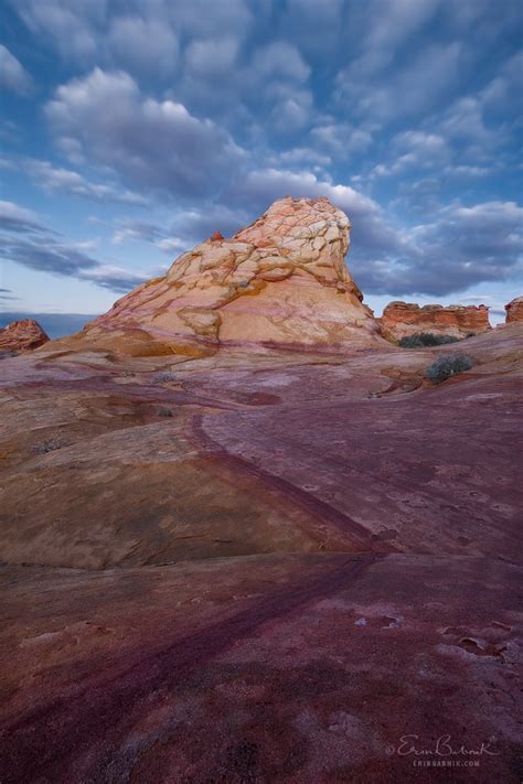 Fastest Chromatic Scale Ever 的图像结果