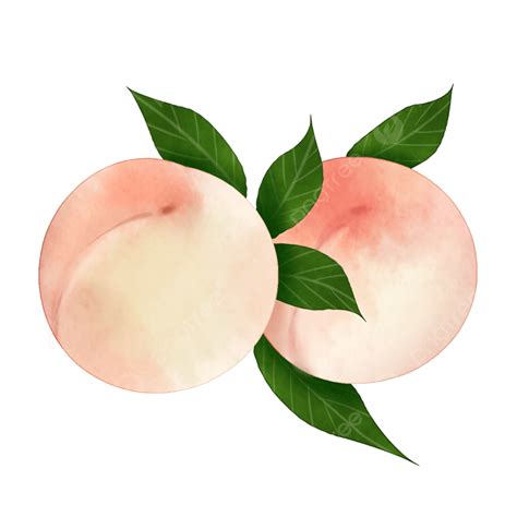 Pink Peach Hd Transparent, Cartoon Pink Peach Illustration, Cartoon, Pink, Peach PNG Image For ...