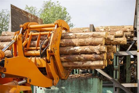 Image result for Wood Processing