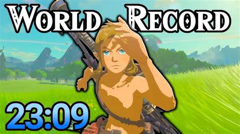 Image result for BOTW Speed Run Tutorial
