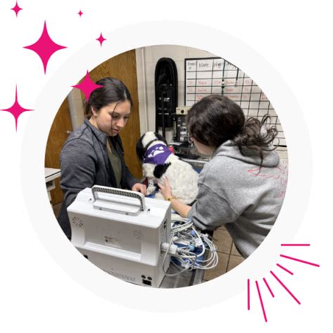 Pet Urgent Care In Salina, KS | Salina Veterinary Hospital