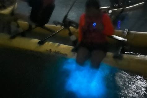 2026 Bioluminescent Bay Waterbike Tour – La Parguera (San Juan) - with ...