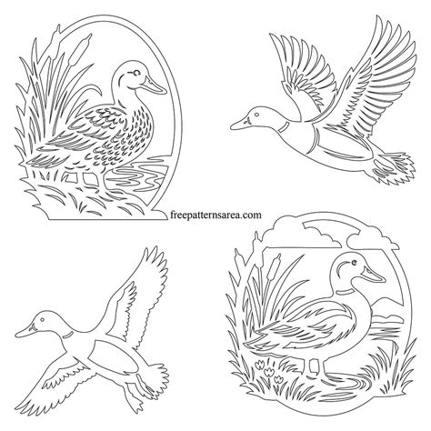 Duck Outline Drawing Easy