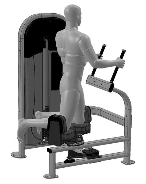 Image result for Back Rotation Machine