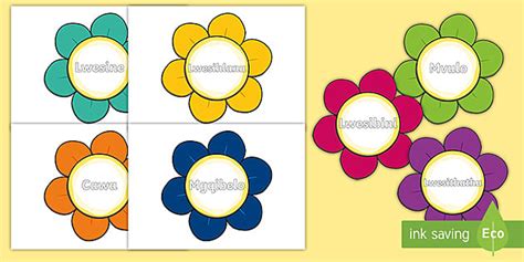 Days of the week in Xhosa | Intsuku zosuku | Display Pack