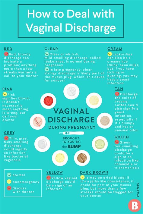 Jelly Discharge After Ovulation at Marilyn Coulter blog
