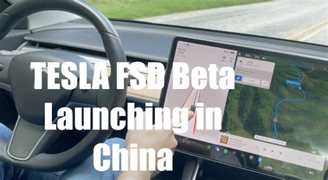 Tesla FSD Beta 的图像结果
