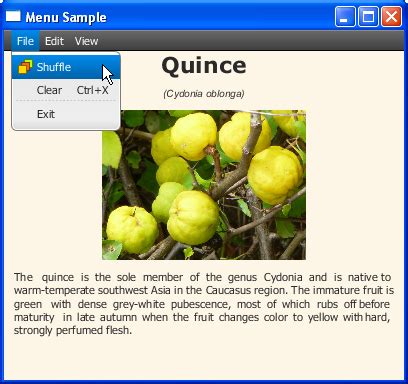 Image result for JavaFX Fun Menu Han Solo