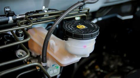Brake Fluid Reservoir Renault Megane at Sharon Bradley blog