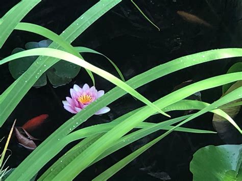 THE BEST Places to Visit in Richemont (2026) - Must-See Attractions