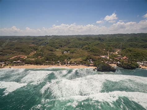 Image result for Java Sea Indonesia