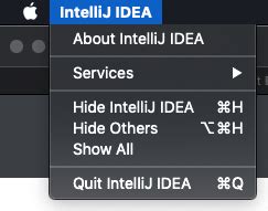 Image result for Main Menu Java IntelliJ IDEA