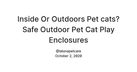 Inside Or Outdoors Pet cats? Safe Outdoor Pet Cat Play Enclosures ...
