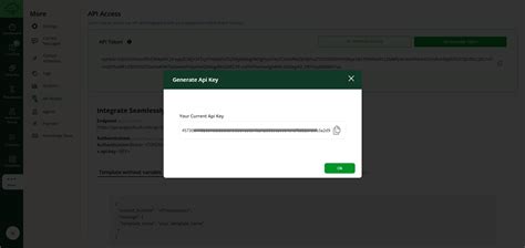 Generate API Key 的图像结果