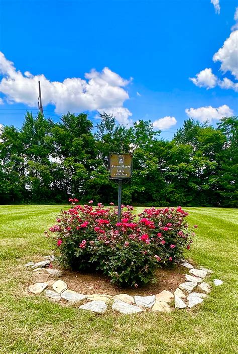 Beechwood Hall - Tennessee Endangered Treasure | Lovely Franklin