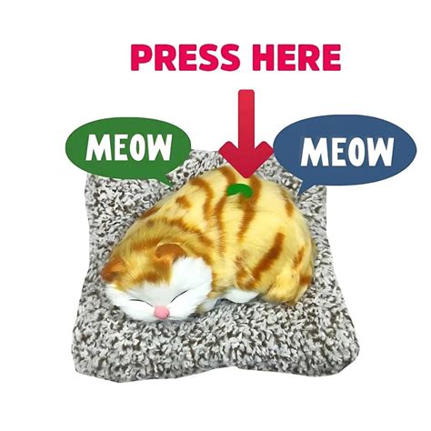 Cute Sleeping Cat Soft Toy Car Dashboard Toys – DOD Kart