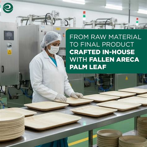 Buy 10 Inch Round Palm Leaf Plates Online| EcoSoul – ECOSOUL HOME INDIA