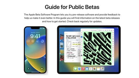 Apple Beta Program 的图像结果