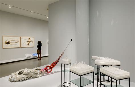 Contemporary Artworks Blur Boundaries of Art, Craft and Design at MFA ...