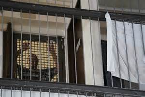 Special Master Appointed To Recommend On COVID-19 Jail Releases ...