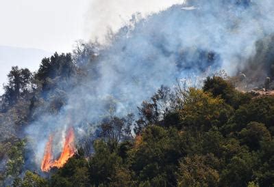 Fresh wildfires erupt in Syria