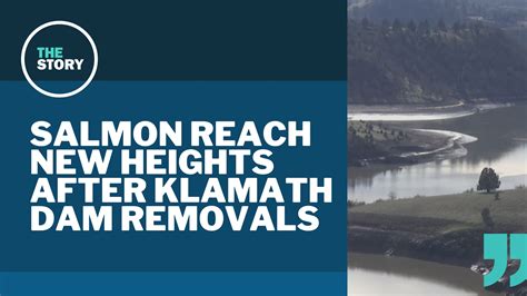 Coast Guard suspends search for crew of boat capsized near Gold Beach | kgw.com