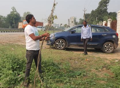 Greenpeace Foundation