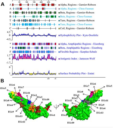 Image result for Epitope Mapping