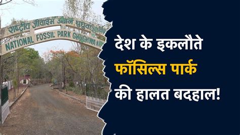Fossil Park: न कैंटीन न गेस्ट हाउस और न ही..... देश के एकमात्र फॉसिल्स ...