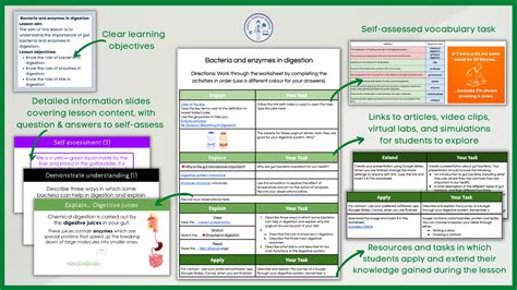 Bacteria and enzymes in digestion Distance learning | Teaching Resources