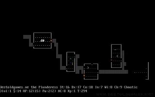 Image result for Playing NetHack