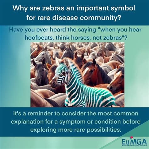 EuMGA on LinkedIn: #rarediseaseday #zebras #rarediseaseawareness #myastheniagravis