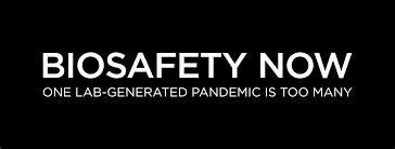 Image result for Origin of Paper