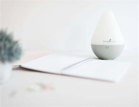 Image result for How to Clean Diffuser