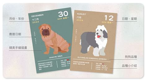 嘖嘖 | 2024狗狗GO日曆｜每天帶你認識一隻可愛狗狗，療癒你的2024年