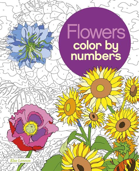 Buy Flowers Color by Numbers (Arcturus Color by Numbers Collection ...