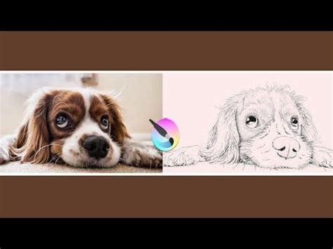 Krita Basic Tutorial Create Pencil Outline 的图像结果