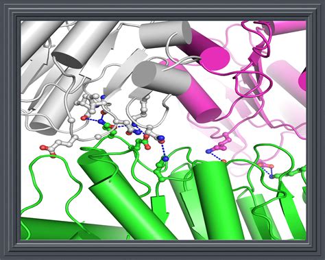 Protein Structures Solved|Protein Crystallography Lab