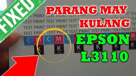 Image result for Epson L3110 Printer Color Problem
