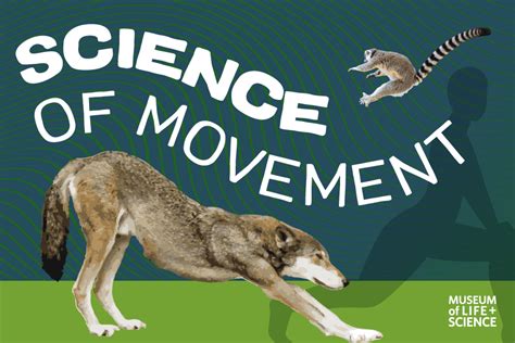 Science Moving Physics Models 的图像结果