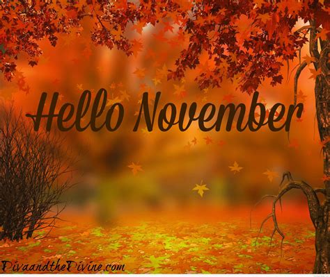 Hello November Computer Wallpapers - Top Free Hello November Computer ...