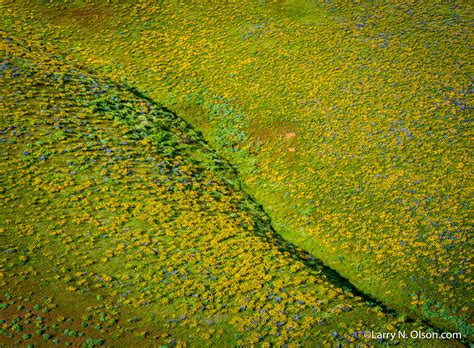 View All - Larry N. Olson Photography - Page 2