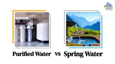 Purified Water Vs Spring Water