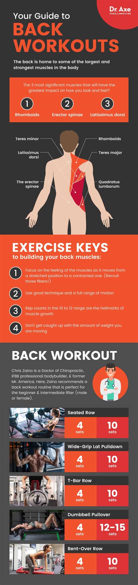 Image result for Different Back Workouts